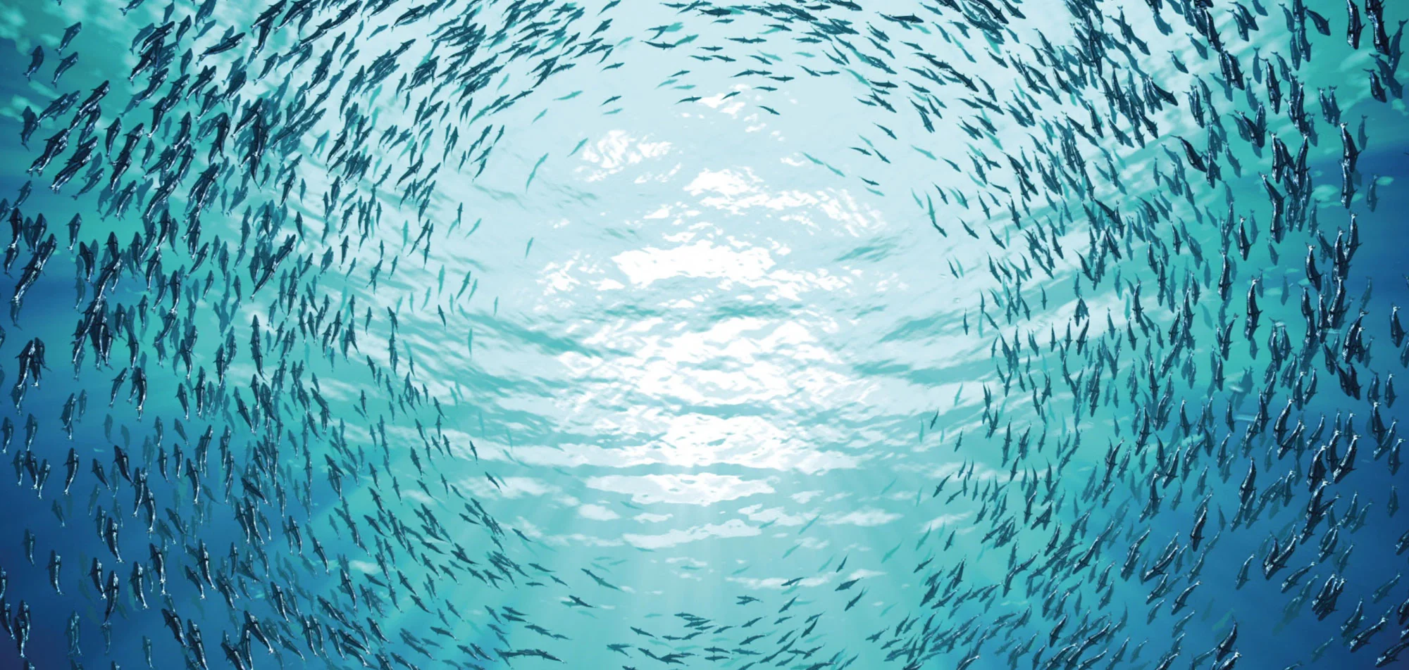 Water ambient